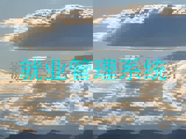 就业管理系统