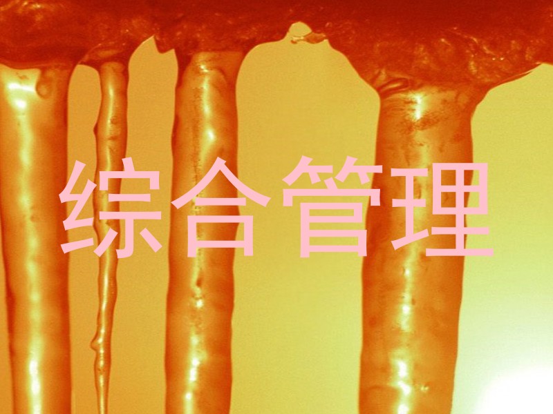 综合管理