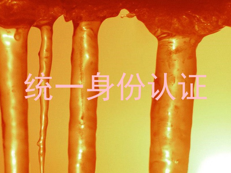 统一身份认证