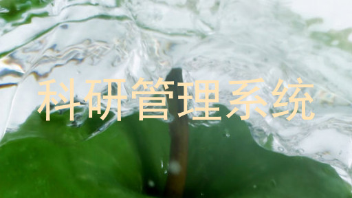 科研管理系统