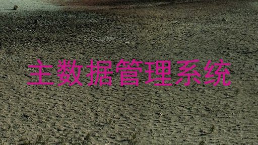 主数据管理系统