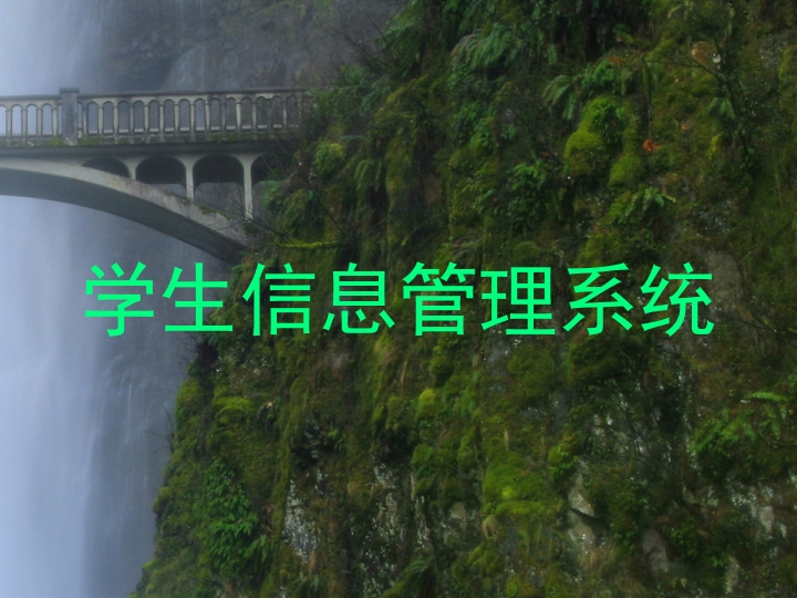 学生信息管理系统
