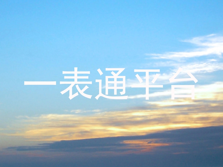 一表通平台