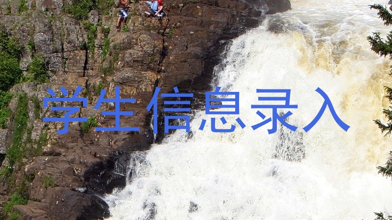 学生信息录入