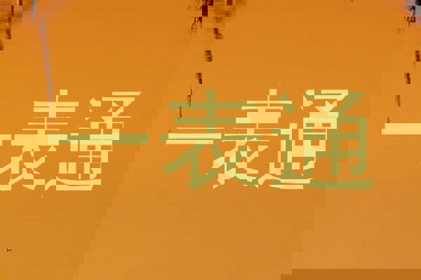 一表通