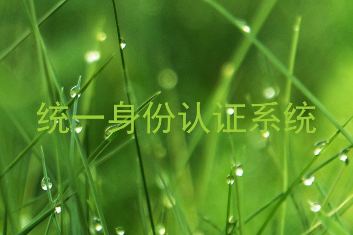 统一身份认证系统