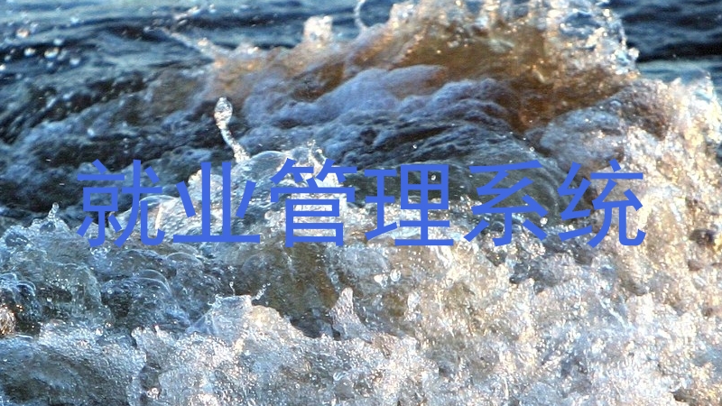 就业管理系统