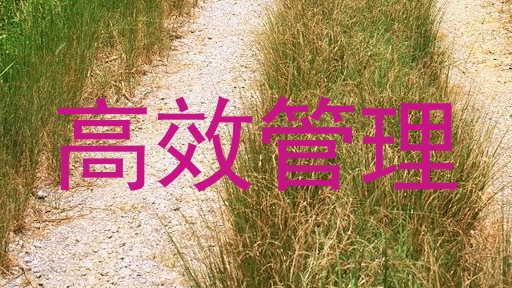 高效管理