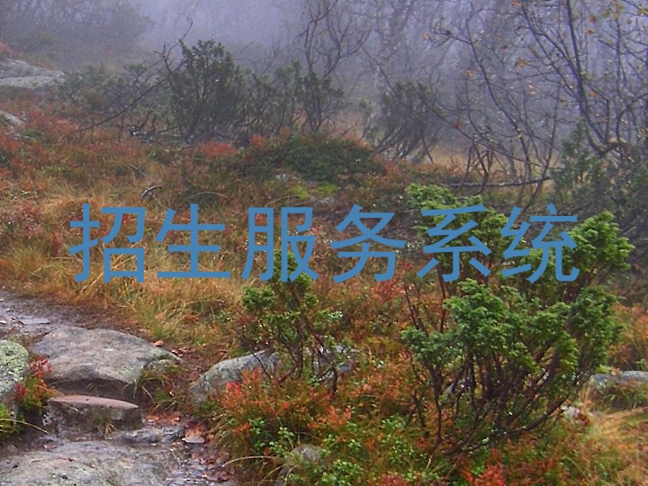 招生服務(wù)系統(tǒng)