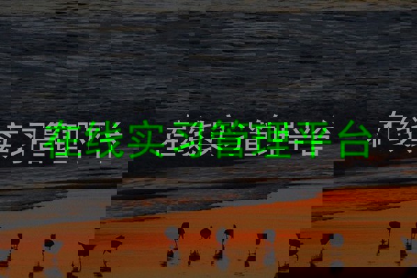 在线实习管理平台