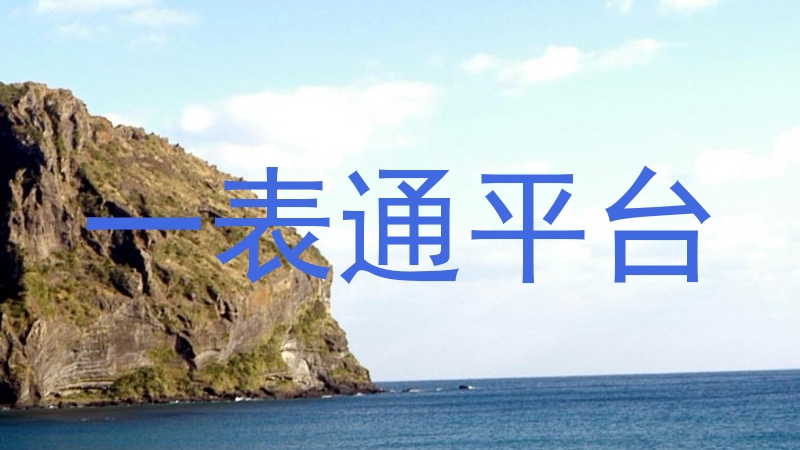 一表通平台