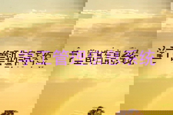 学工管理信息系统