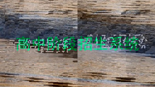 高中階段招生系統(tǒng)