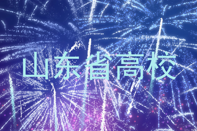 山东省高校