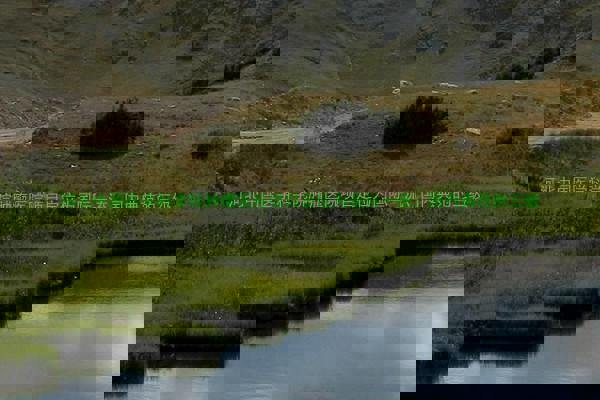 河北中国医学科学院肿瘤医院项目定位为国际一流、国内典范的三级