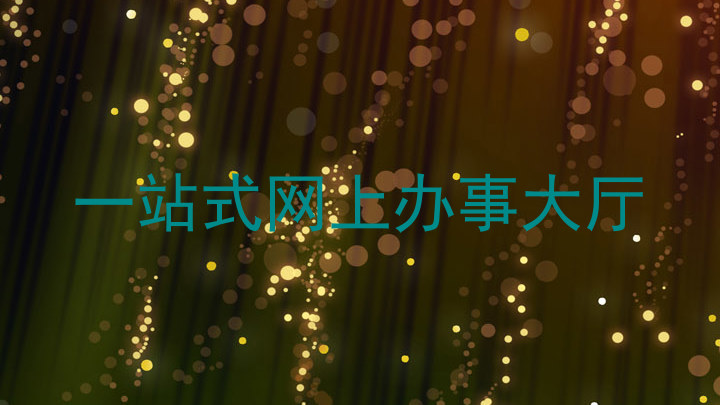 一站式网上办事大厅