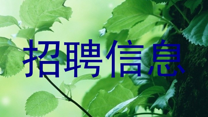 招聘信息
