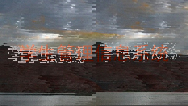 学生管理信息系统