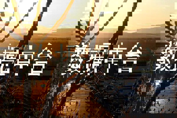 数据中台
