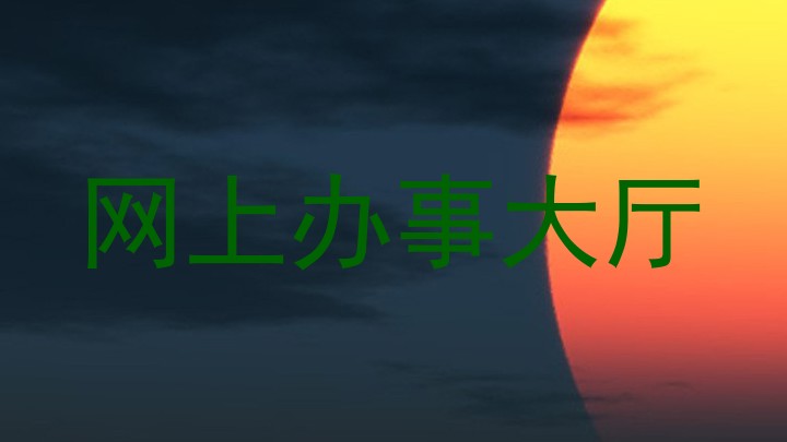 网上办事大厅