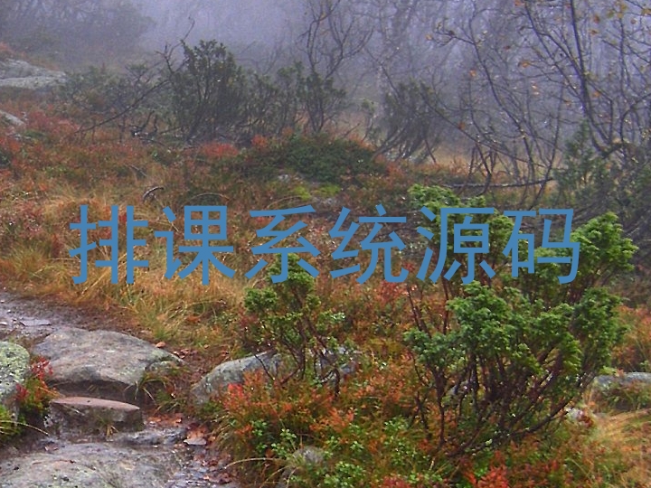 排课系统源码