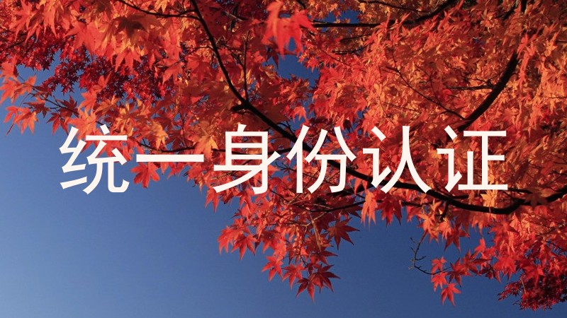 统一身份认证