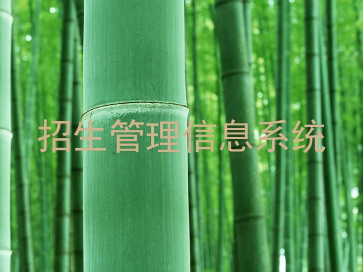 招生管理信息系統(tǒng)
