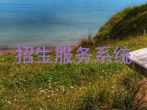 招生服務(wù)系統(tǒng)