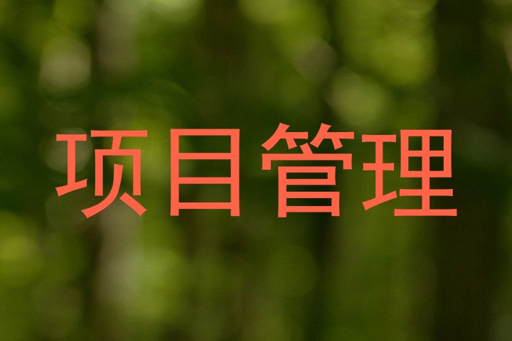 项目管理