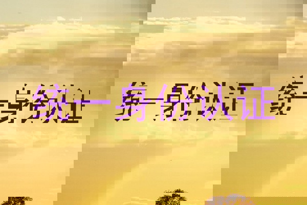 统一身份认证