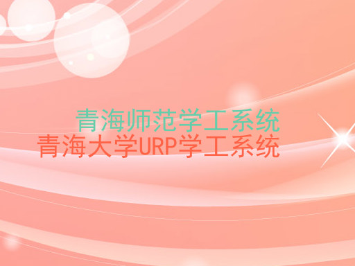 青海师范学工系统