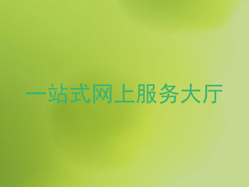 一站式网上服务大厅