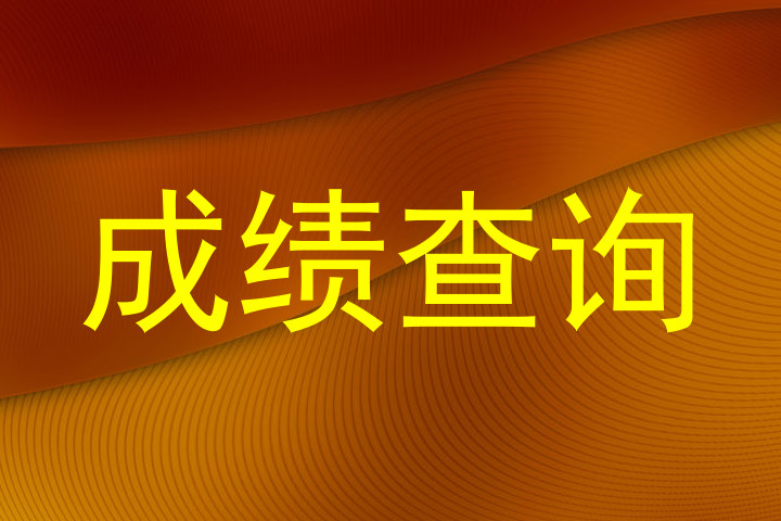 成绩查询