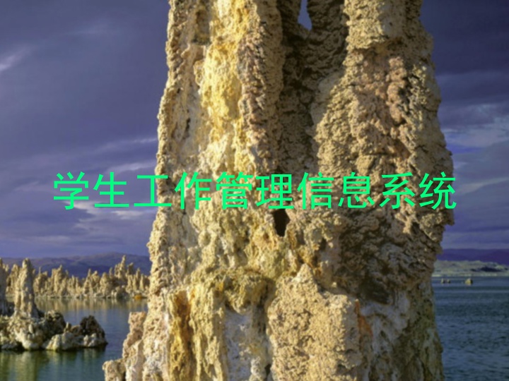 学生工作管理信息系统