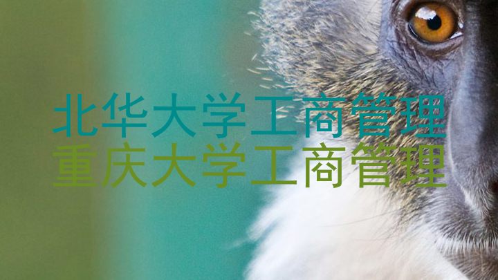 北华大学工商管理|重庆大学工商管理