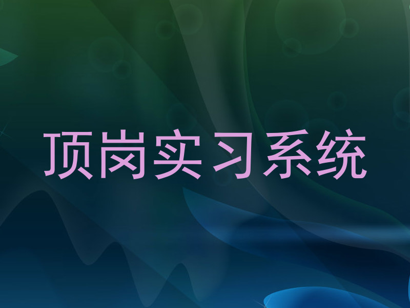 顶岗实习系统