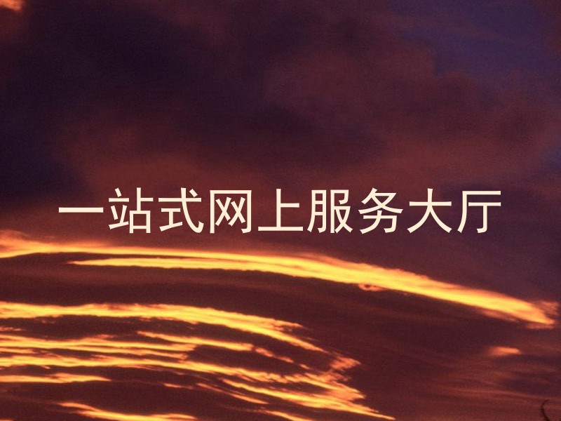 一站式网上服务大厅