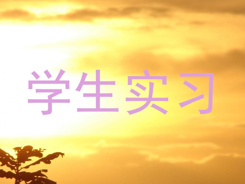 学生实习