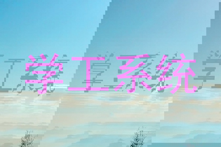 学工系统