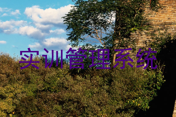 实训管理系统