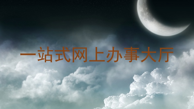 一站式网上办事大厅