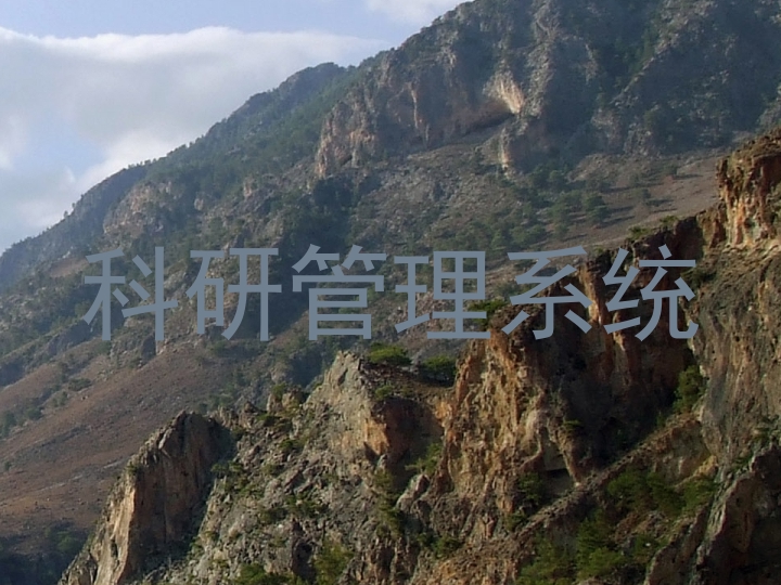 科研管理系统