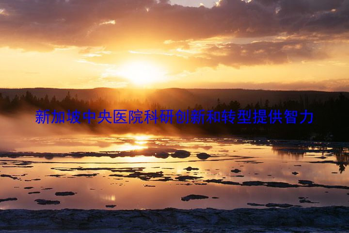 新加坡中央医院科研创新和转型提供智力