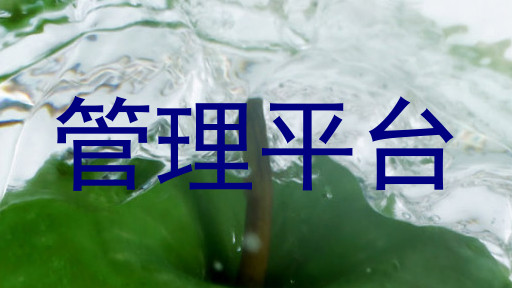 管理平台