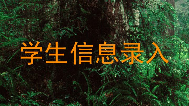 学生信息录入