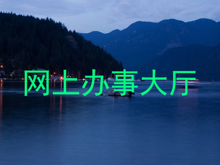网上办事大厅