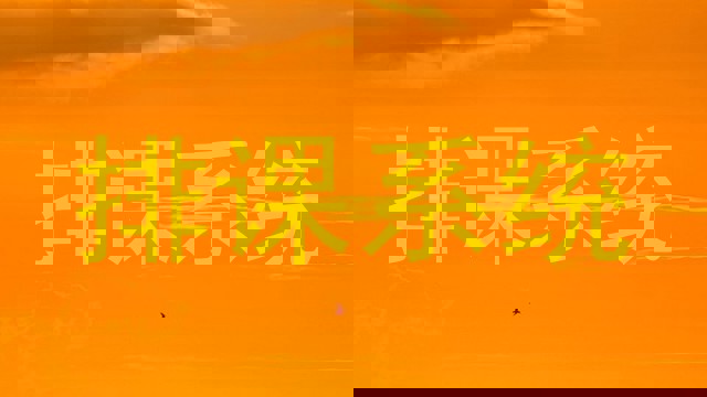 排课系统