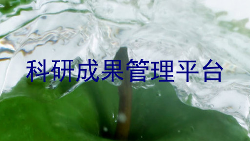 科研成果管理平台