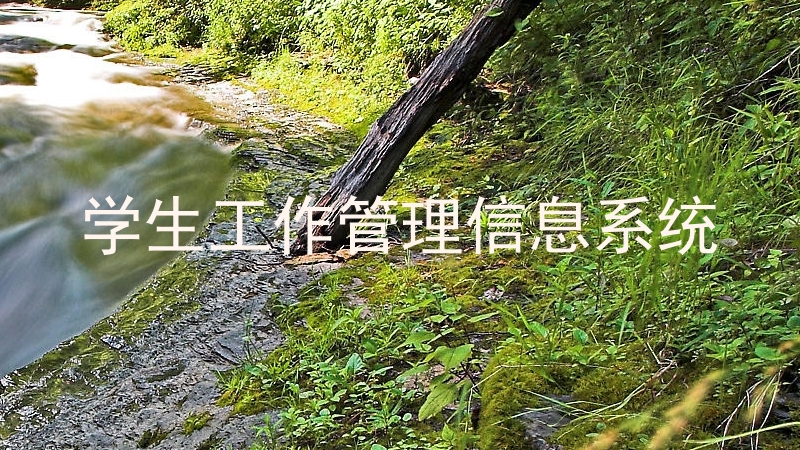 学生工作管理信息系统