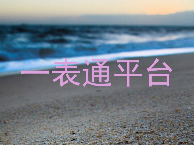 一表通平台